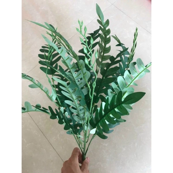  Lá Xương Cá