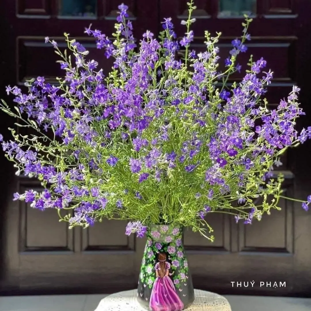 Hoa Violet