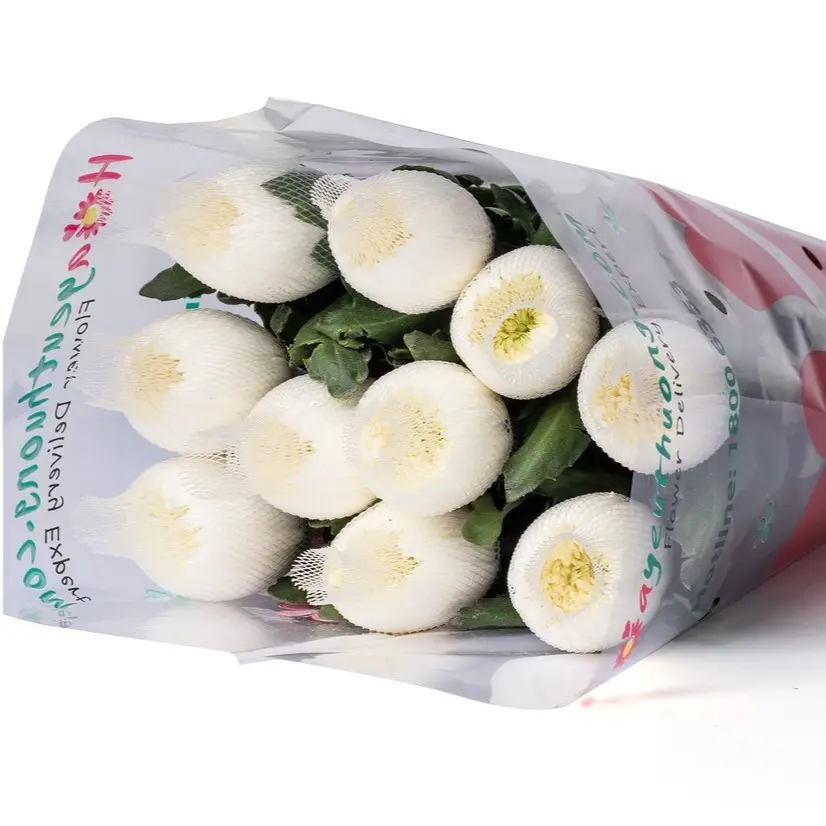 Cúc Lưới trắng (10 cành) 