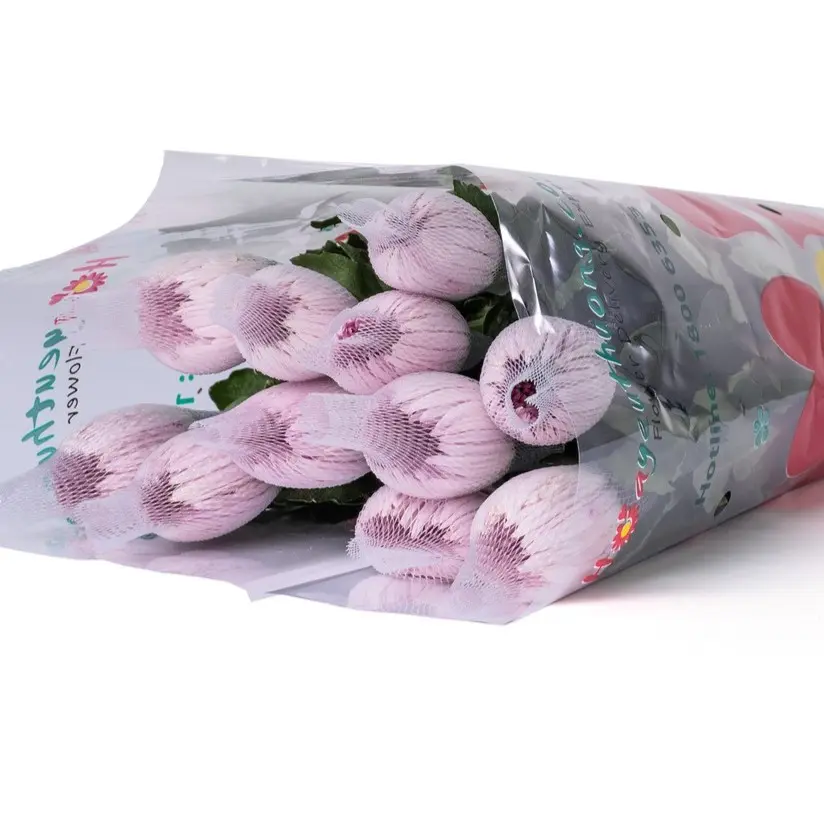 Cúc Lưới tím (10 cành)