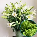 Hoa Loa kèn chùm (20 bông/bó)