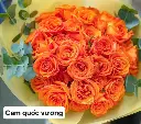 Hoa hồng Cam Quốc Vương (50 bông/bó)